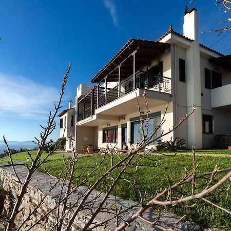 Aegean Panorama Apartments Akhladherí エクステリア 写真